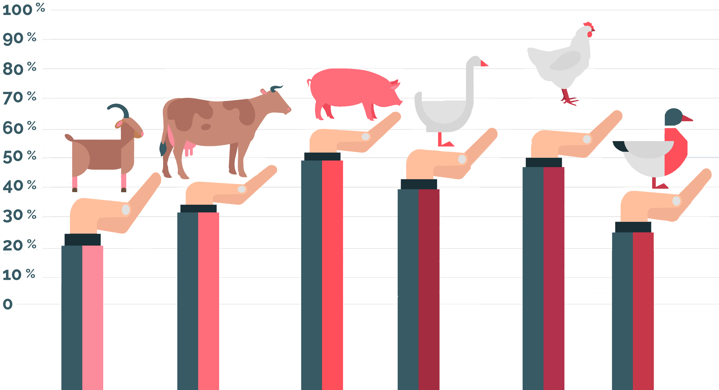 حالة صناعة الثروة الحيوانية في جورجيا