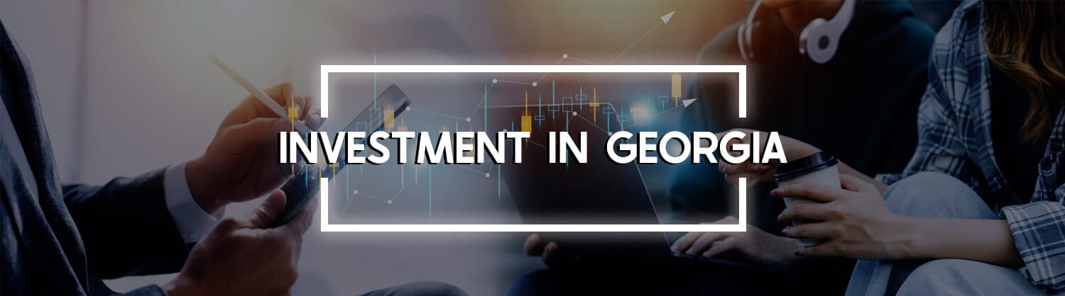 Investment in Georgia