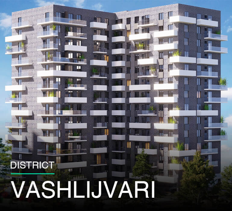 Vashlijvari