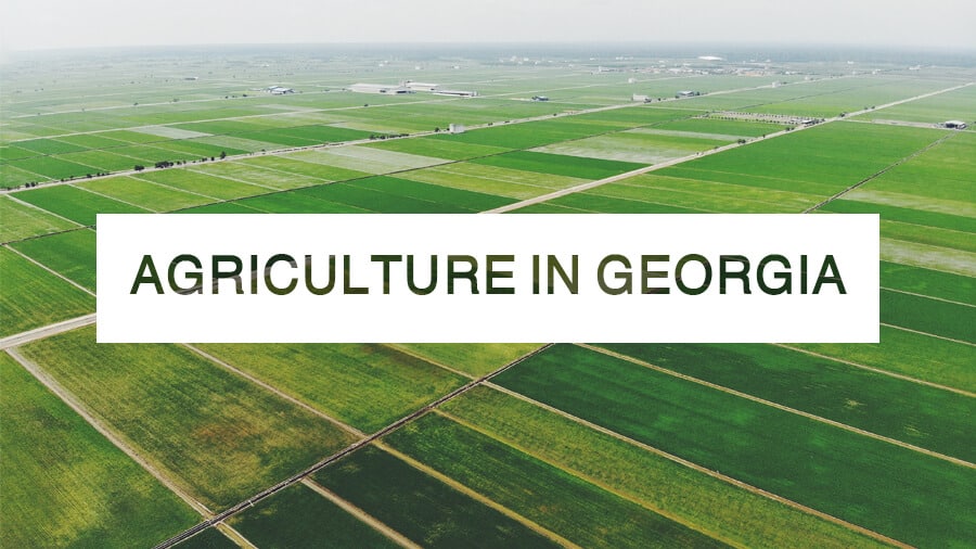 Agriculture in Georgia