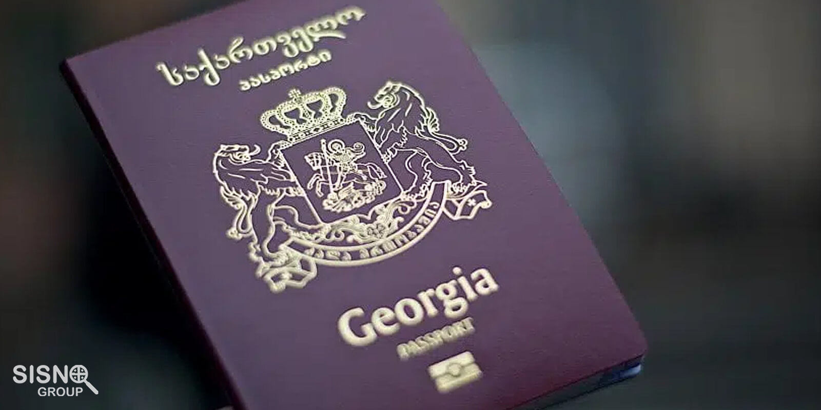 Passport Comparison: Georgia vs. Turkey