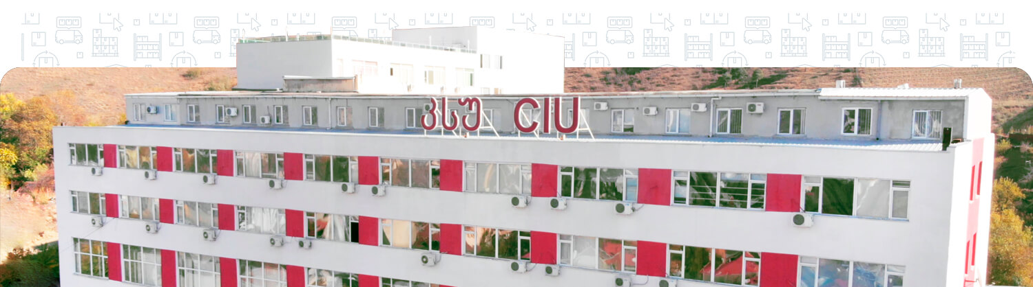 Caucasus University