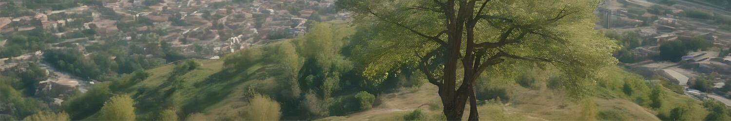 The Pleasant Climate of Georgia