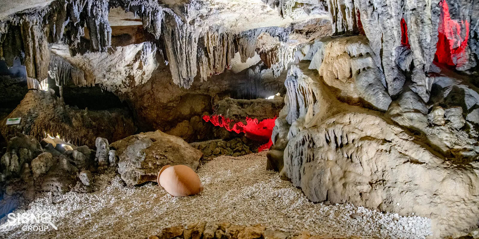 Tetra Cave in georgia