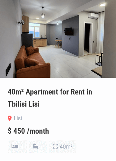 apartment for rent in tbilisi (2)