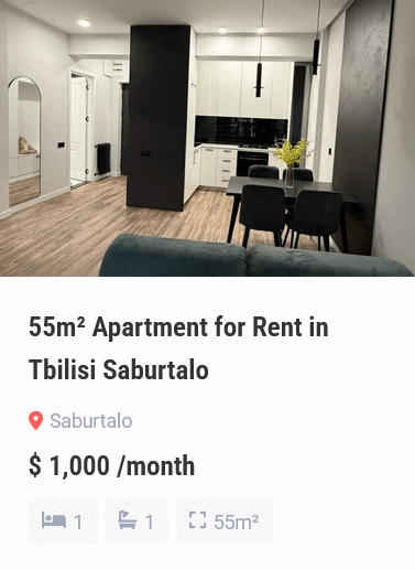 apartment for rent in tbilisi (4)