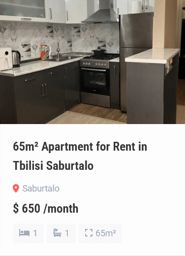 apartment for rent in tbilisi (5)