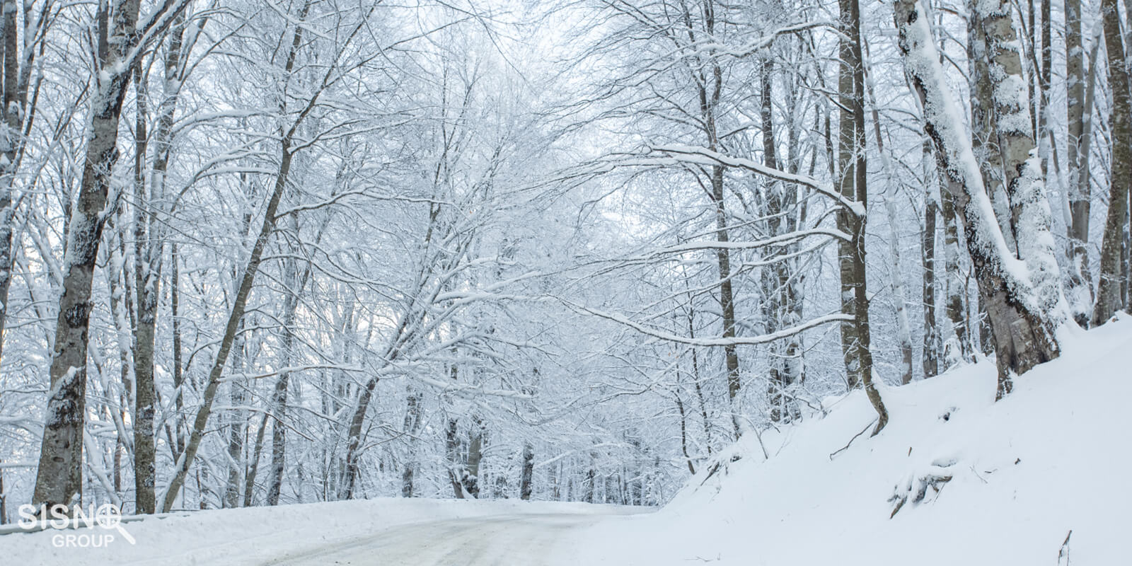 When Does It Snow in Georgia?